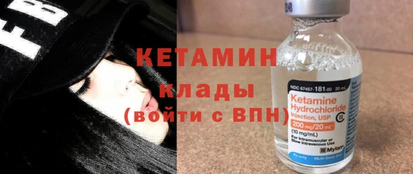 крисы Новодвинск