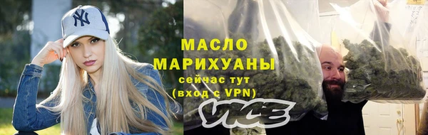 крисы Новодвинск