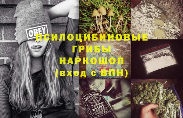 крисы Новодвинск