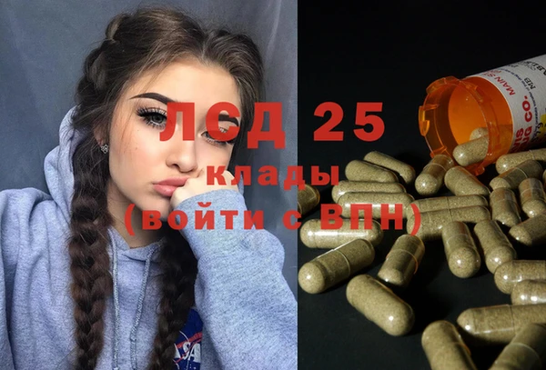 марки lsd Новозыбков