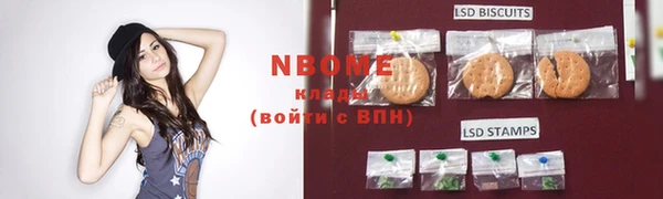 крисы Новодвинск