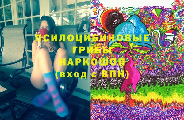 эйфоретик Богданович