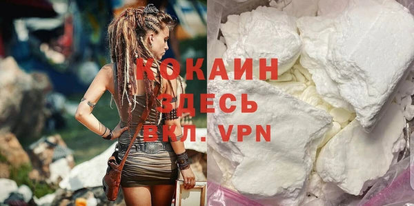 крисы Новодвинск