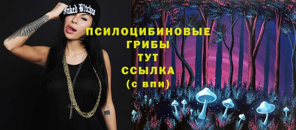 марки lsd Новозыбков