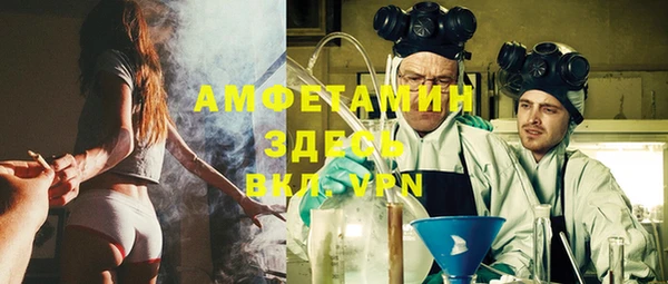 крисы Новодвинск