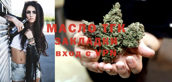крисы Новодвинск