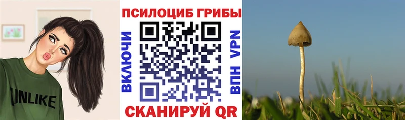 Галлюциногенные грибы MAGIC MUSHROOMS  наркотики  Владимир 