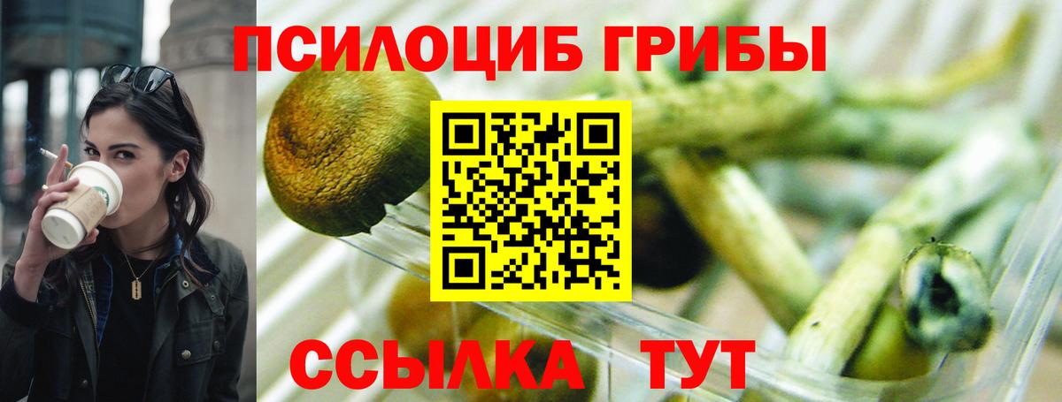 Галлюциногенные грибы мухоморы  Галлюциногенные грибы Psilocybe  Вход с VPN  Владимир 